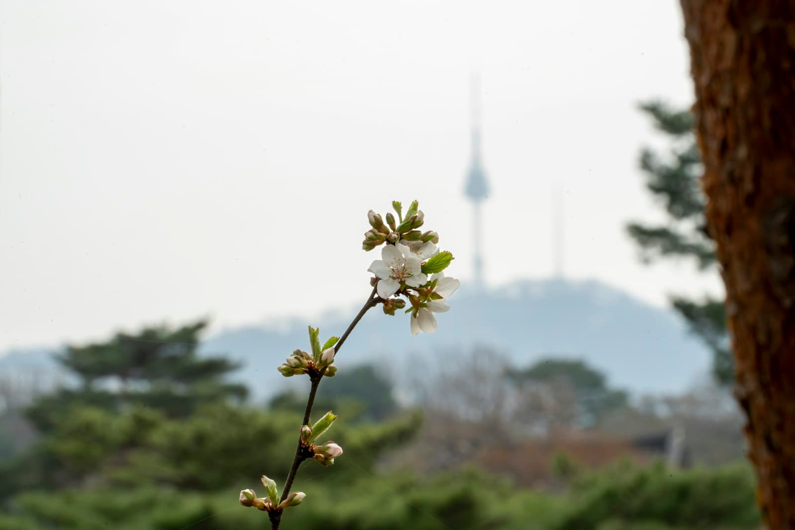 Namsan Park