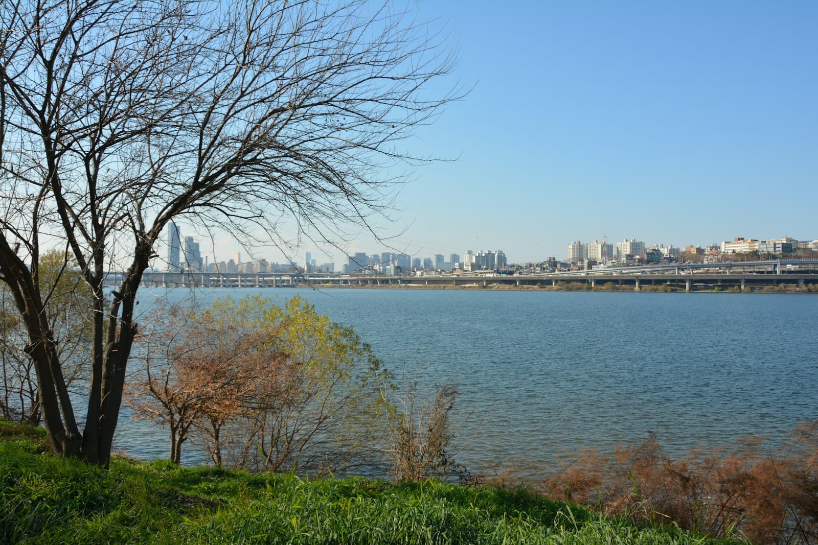 Yeouido Hangang Park